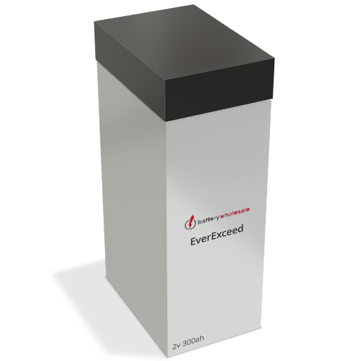 EverExceed MR 2-300 Max battery